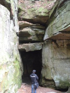 EH Field Trip Icebox